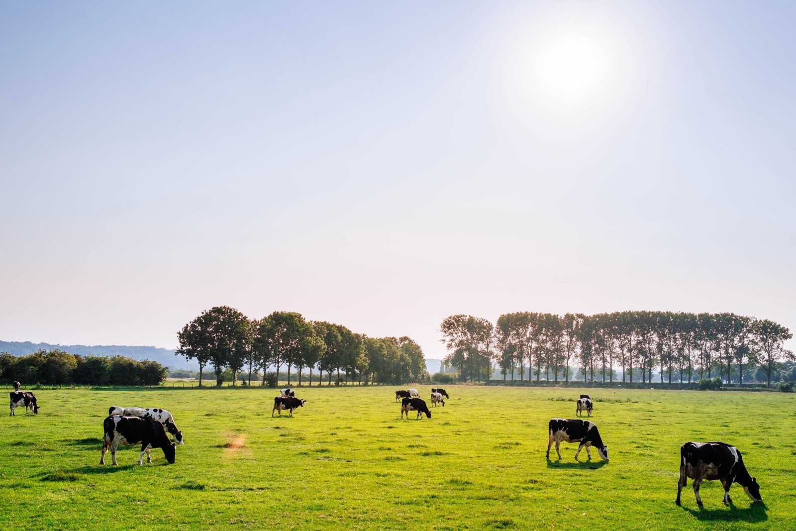 Landwirtschaftliche Klimaberatungen